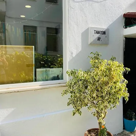 Tanaydin Evleri 酒店 费特希耶